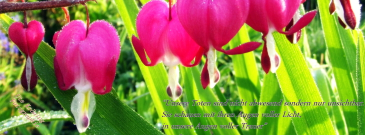 Stimmungsbild-Wilfried Klaus-Kröning-1